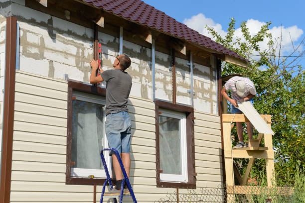 Best Siding Repair  in Morgantown, MS